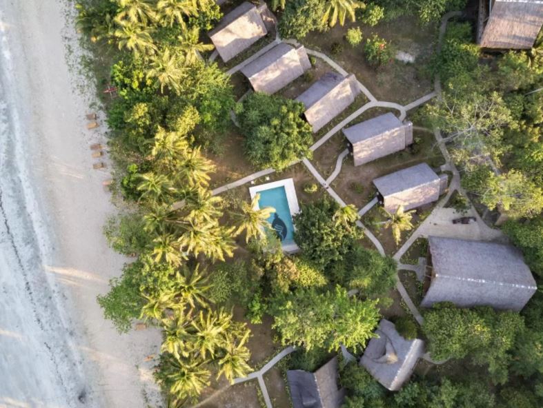 Qi Palawan